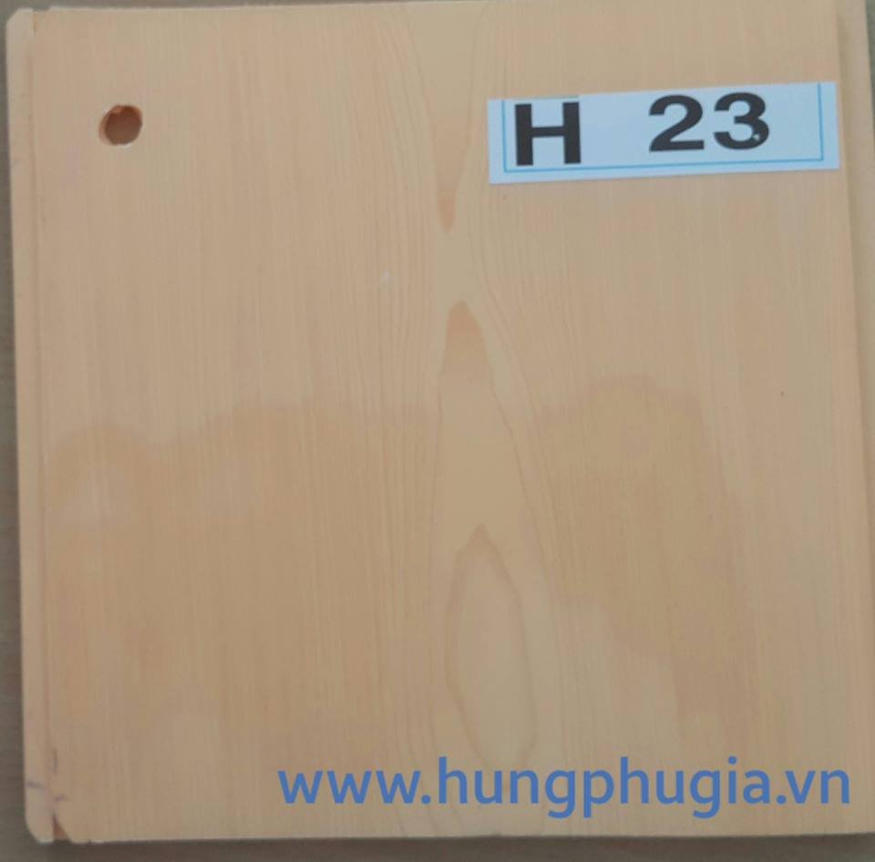 Tấm La Phông Trần Nhựa
